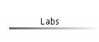 Labs