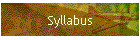 Syllabus