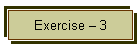 Exercise  3