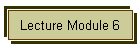 Lecture Module 6