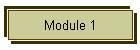 Module 1