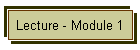 Lecture - Module 1
