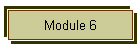 Module 6