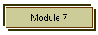 Module 7
