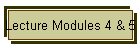 Lecture Modules 4 & 5