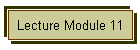 Lecture Module 11