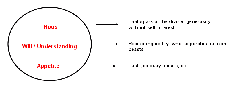 Schema of Faculty Psychology 