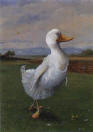 Michael Sowa Postcard: "Ballerina Duck"